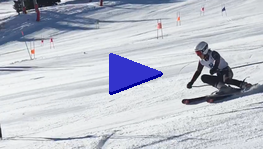 WhatsApp_Video_2020-01-11_at_15.57.19_1.mp4